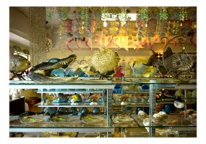 Dana Levy - Florida Store