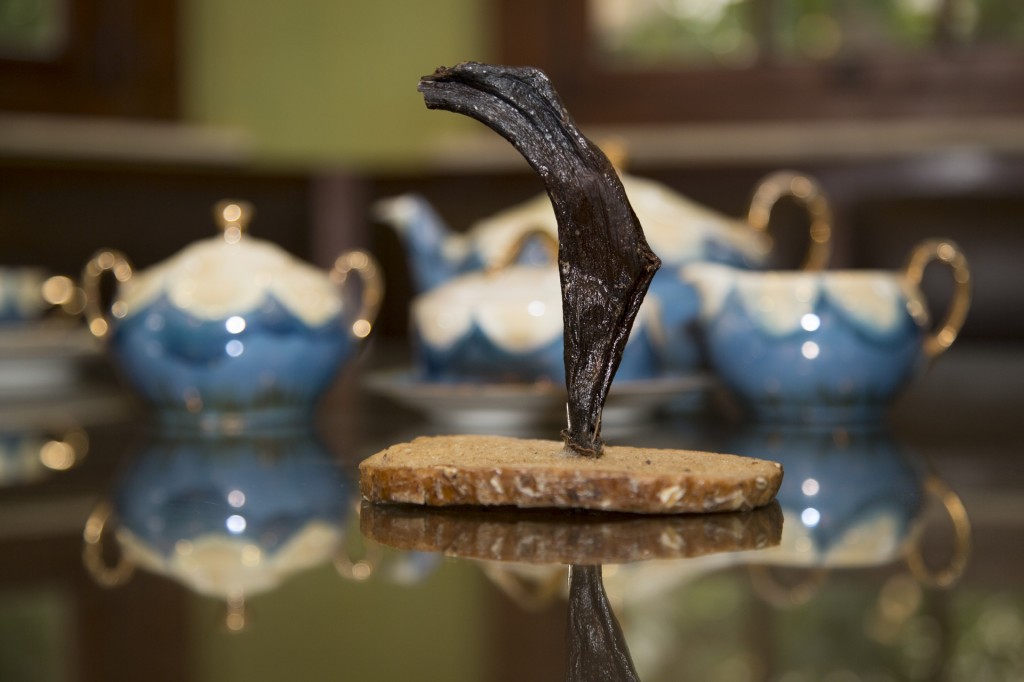 Chaya Rukin,  Bread banana boat photographer : Tom Porat