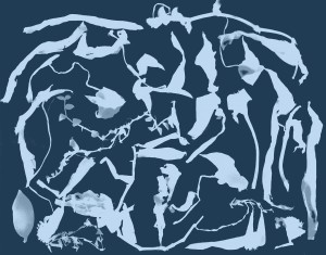 _¬___¿ _£_____ƒ 1