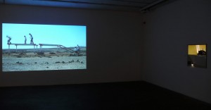 Tamir Zadok Untitled. video work 