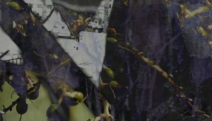 Tali Navon ,Towards 1, Towards 2, 2013,