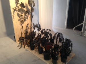 MalkaCohen - Faux plants