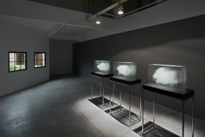 Installation View :clouds and lost garden