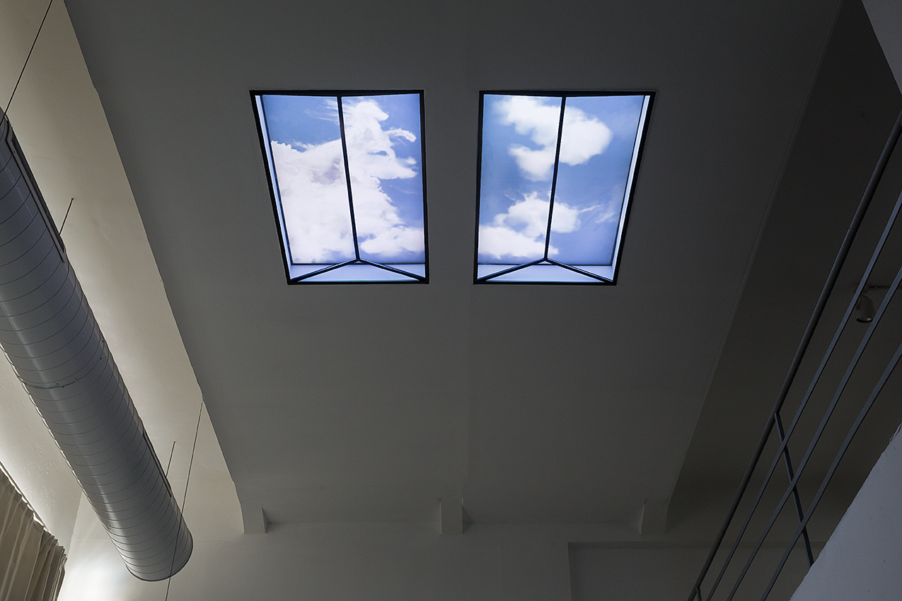 Double Skylight