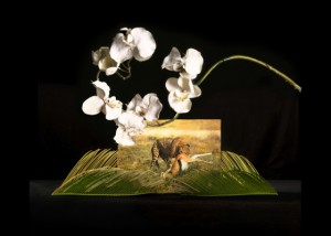 Mitz - Theatre of the Deer and Tiger 