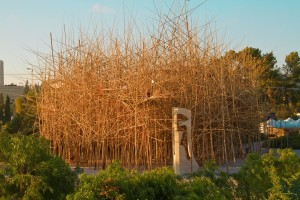 Big Bambu Completed with Picasso