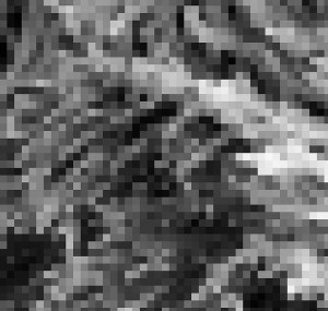 Orit Ishay "In photography as in the photograph, gray is gray” (2014)