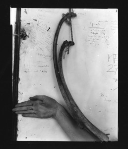 Francesca Woodman, 1975-1978