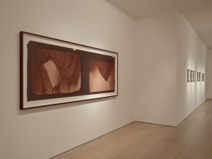 Francesca Woodman,1979-1980