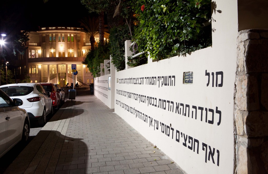 ניצן מינץ אספקלריה Nitzan Mintz ,Mirror, 2014