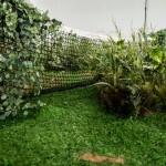 Tal Frank,Tie-breaker,2015