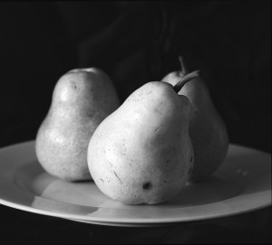Shlomo Lee Abrahmov, Pears , 1993 