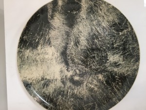 Tamarin Makarov, Field Plate, 2014