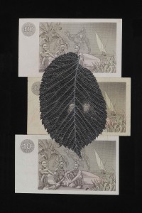 Fiona Hall, Ulmus glabra; Scotch elm, from the series When My Boat Comes In 2002, gouache on banknotes, 25.3 x 16.7 cm, courtesy of the artist and Roslyn Oxley9 Gallery, Sydney Image credit: Clayton Glen