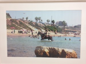 2004 2009 שונית -דפנה שלום