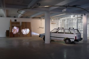 רועי מרדכי - חיתוך גס