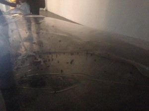 גלגול, טל אנגלשטיין