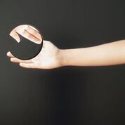 בין השמש לירח" ליהי ניידיץ"