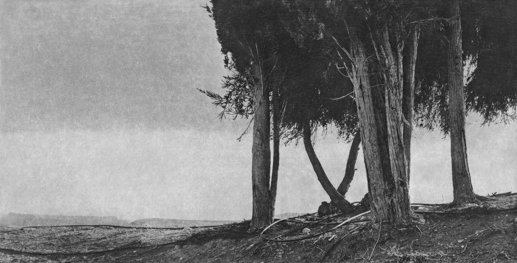 Jungjin Lee Unnamed Road 20 