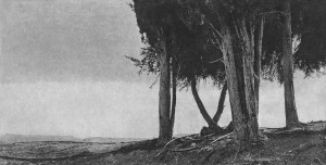 Jungjin Lee Unnamed Road 20 