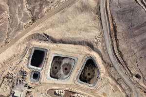 Fazal Sheikh From the Desert Bloom series 