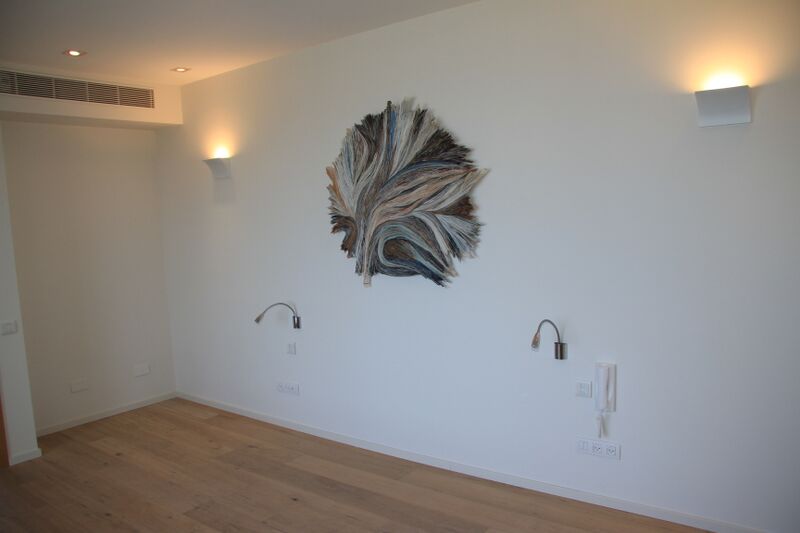 כרמל אילן Strelitzia