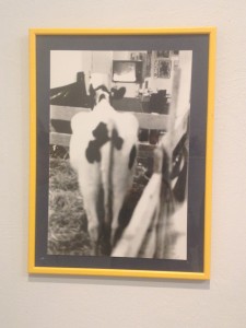Dov Or Ner , Wathching news with a cow , performence 1980