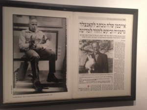 Michal Heyman, Which animals are most like each other ? 2011