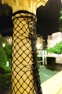 Roni (Liz) Hagag,   (photo. Din Aharoni)