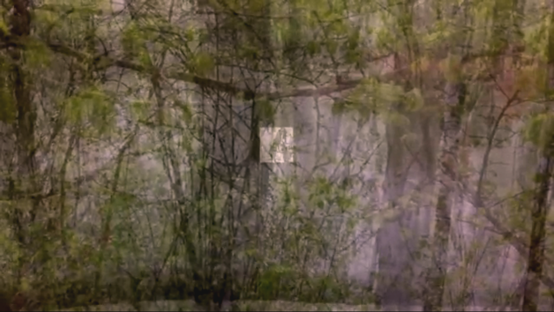 Tali Navon,double landscape 2015 4.15 min. loop