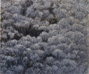 Hadar Gad Untitled 50x60 cm. 2014