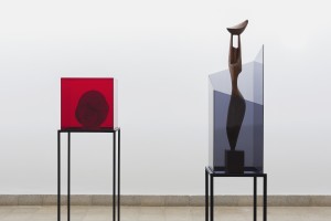 רמי מיימון תעתיק פונטי צילום אלעד שריג