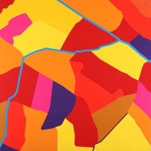 40158, Untitled, 2016, wall to wall carpet, 198x198 cm