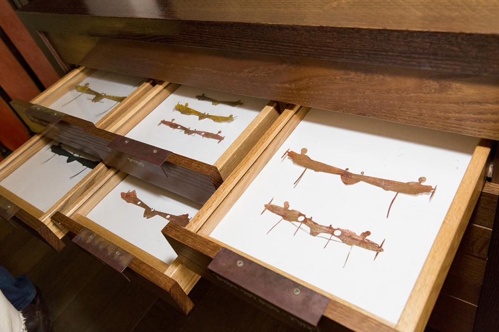 Rotem Ritov Surius Vicinalis Rhopalocera / 2016