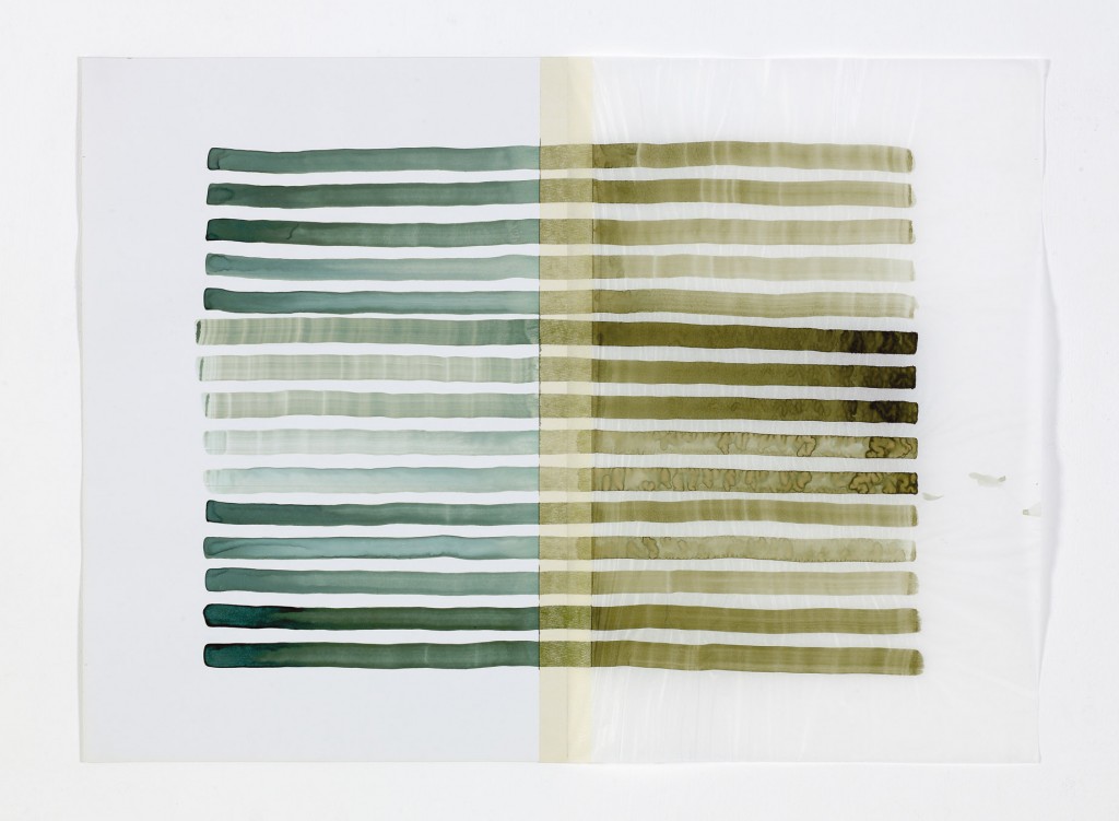 הדס חסיד, יכולת ספיגה 2, 2016, אקוורל על שני סוגי נייר, 50X67 סמ