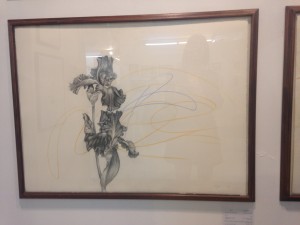 ויק עקובסון פריד