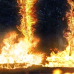 "שר היער" עדן אורבך עפרת