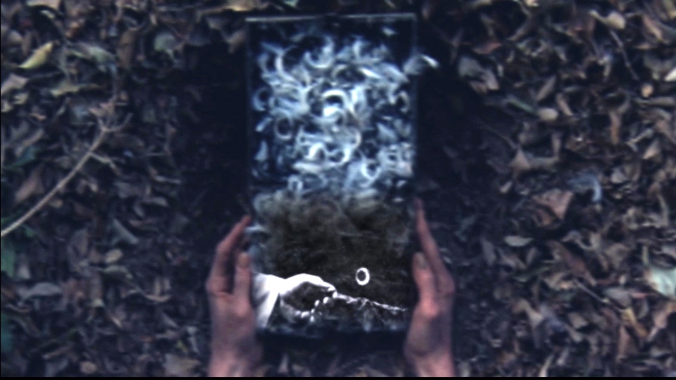 "שר היער" עדן אורבך עפרת