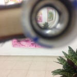 "זיכרון"    2017 אליסה ליסוב 