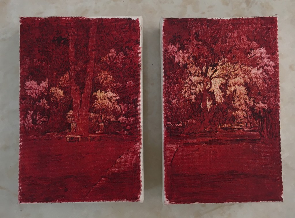 Hadar Gad, diptych . 16x20, 2017