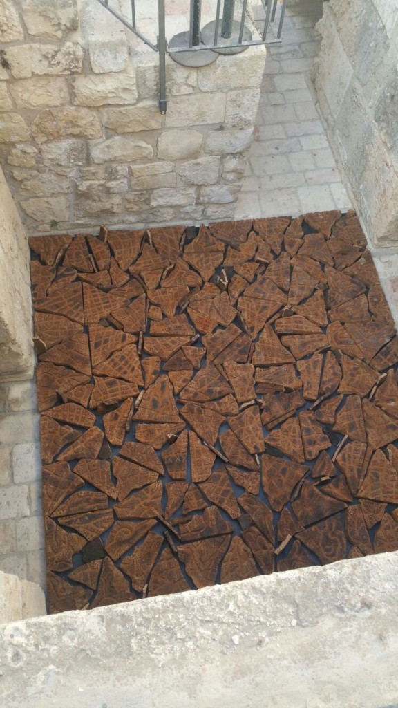 Avner Sher / 950 sq.m.: Alternative Topographies