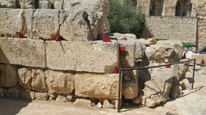 Avner Sher / 950 sq.m.: Alternative Topographies