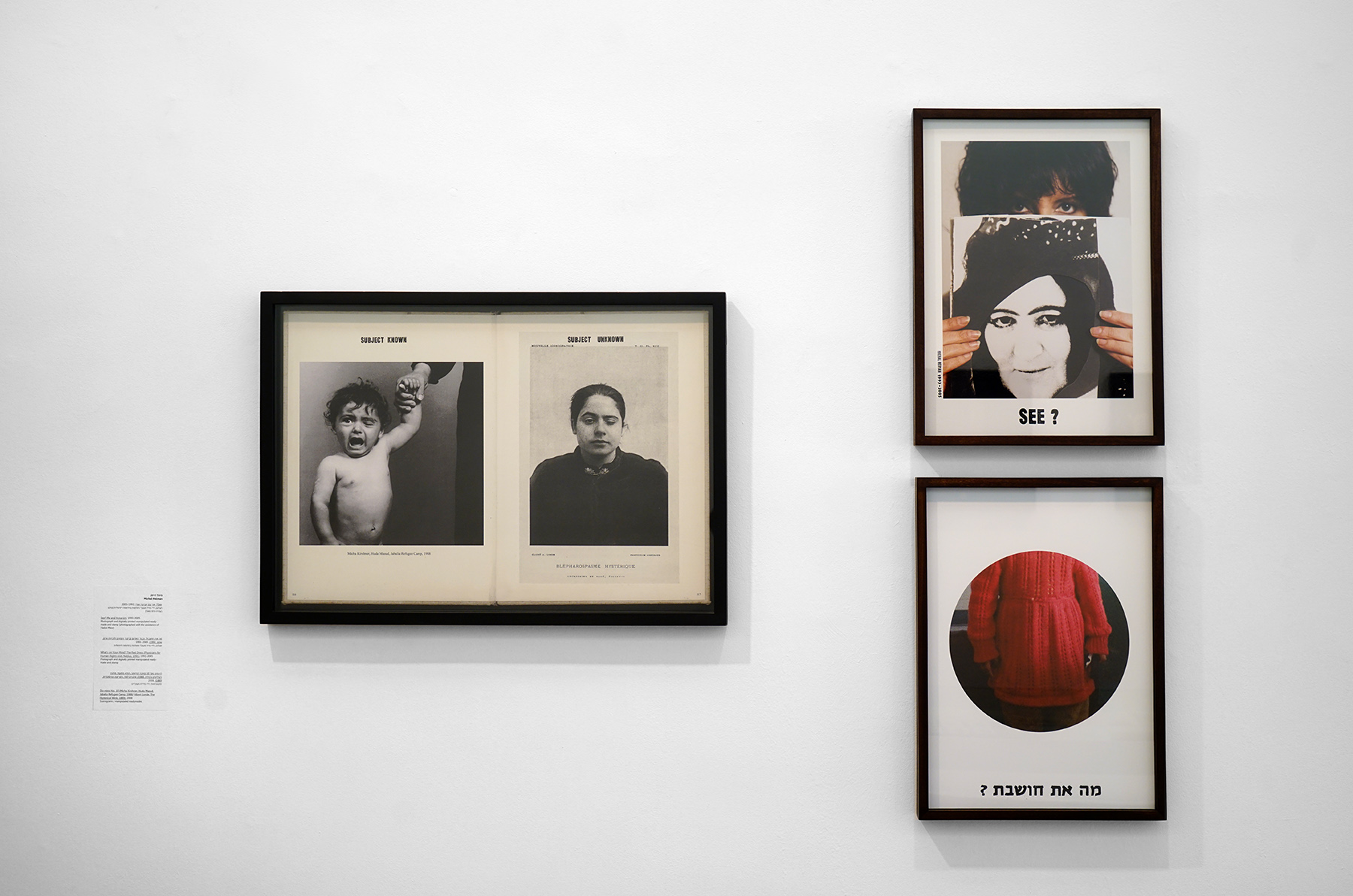 Michal Heiman, in Partial Portrait: Fragmented Identities