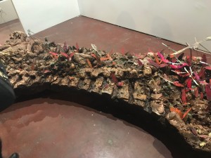 Rotem Ritov, Biotopia: Gaza - monarch migration #3