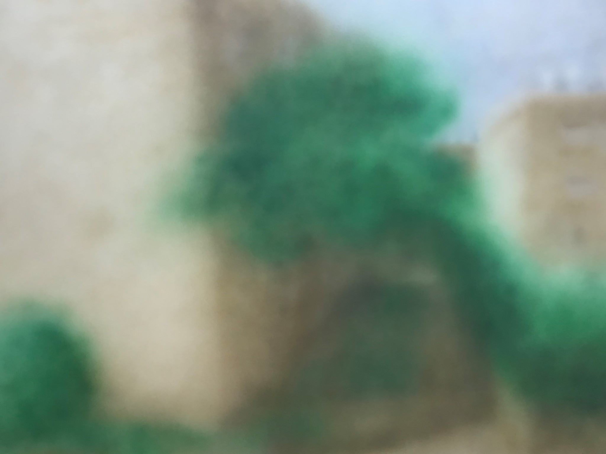 Elena Rotenberg DOMESTHETIC